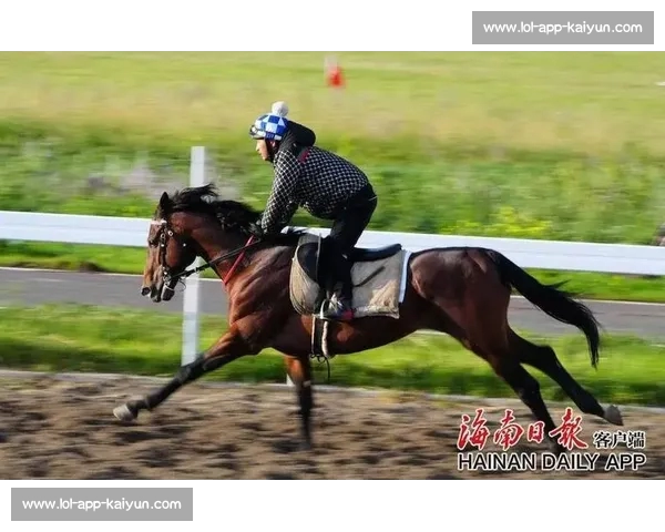 巅峰对决!国内顶级马术赛在邯郸激情开赛