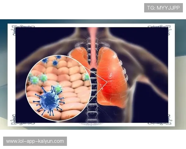 梦魇突袭！科学解析与实用应对指南